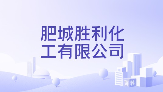 肥城胜利化工有限公司