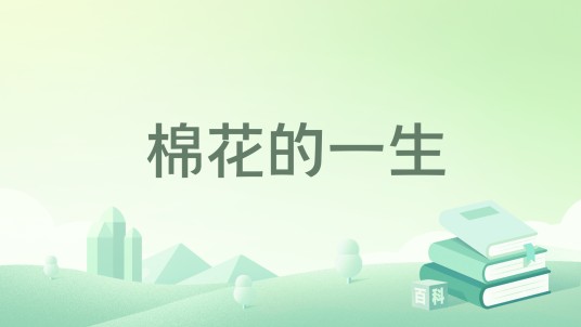棉花的一生