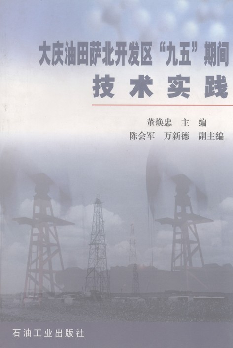 大庆油田萨北开发区“九五” 期间技术实践
