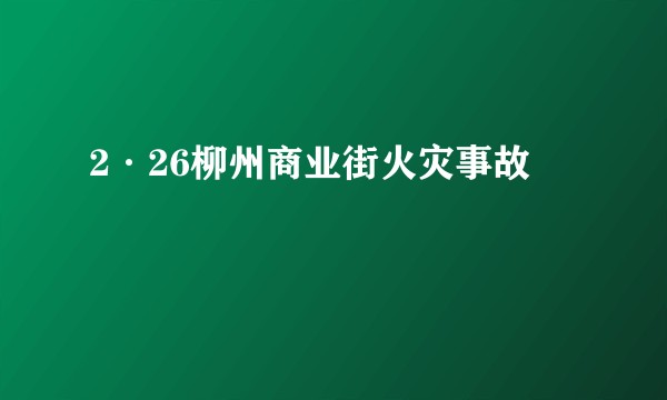 2·26柳州商业街火灾事故