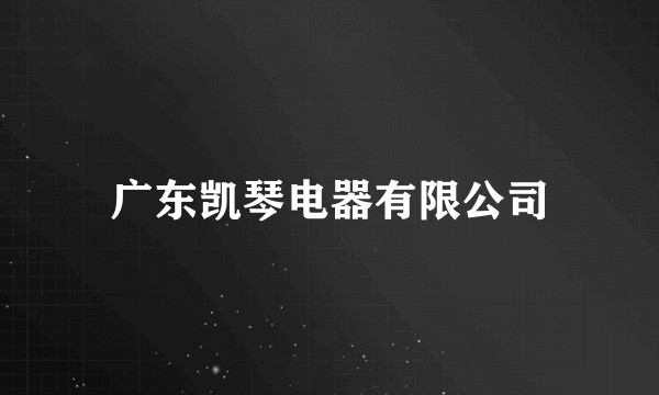 广东凯琴电器有限公司