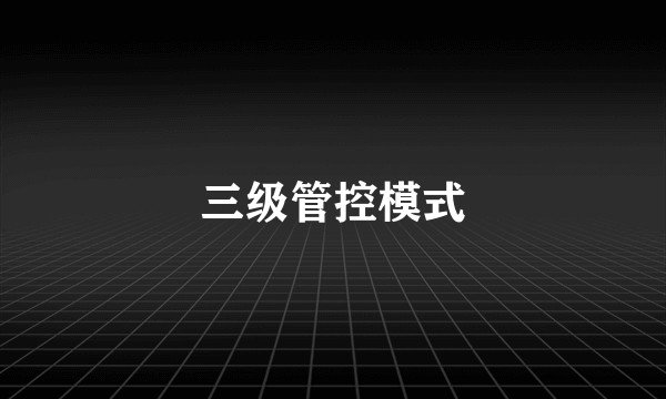 三级管控模式