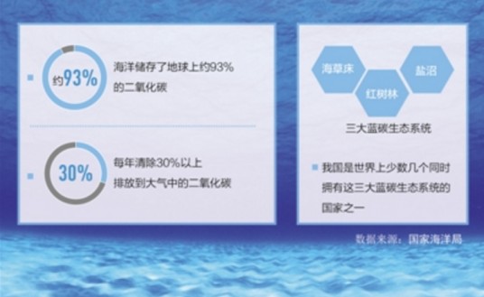 蓝碳