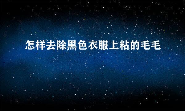 怎样去除黑色衣服上粘的毛毛