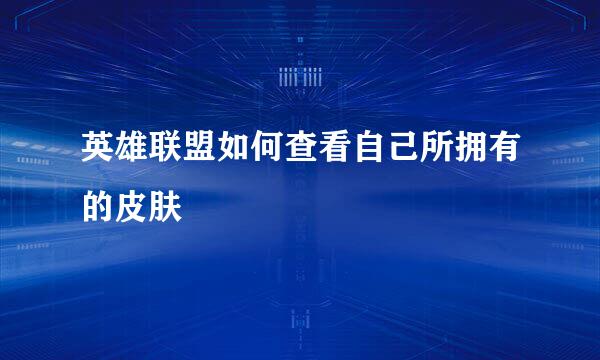 英雄联盟如何查看自己所拥有的皮肤