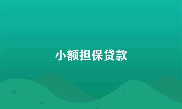 小额担保贷款