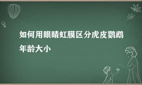 如何用眼睛虹膜区分虎皮鹦鹉年龄大小