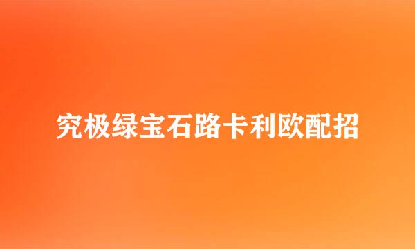 究极绿宝石路卡利欧配招