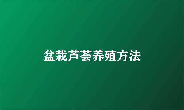 盆栽芦荟养殖方法