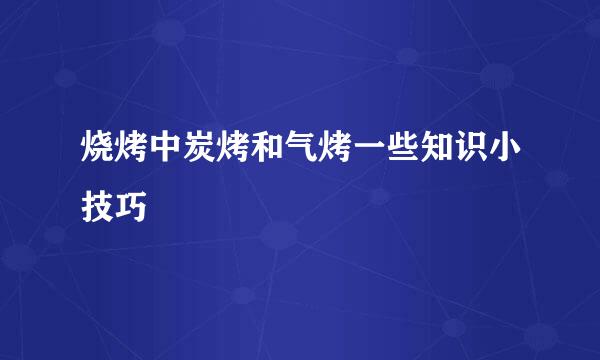 烧烤中炭烤和气烤一些知识小技巧