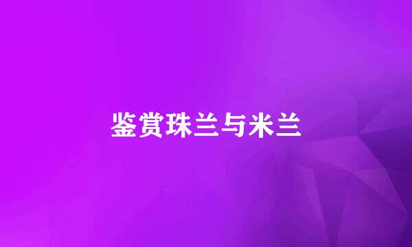 鉴赏珠兰与米兰