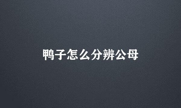鸭子怎么分辨公母