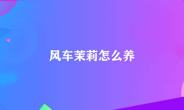 风车茉莉怎么养