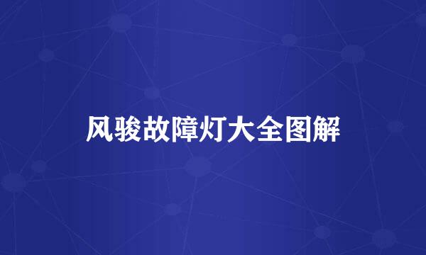 风骏故障灯大全图解