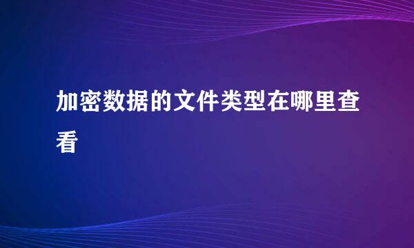加密数据的文件类型在哪里查看