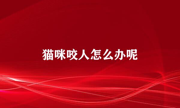 猫咪咬人怎么办呢