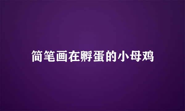 简笔画在孵蛋的小母鸡