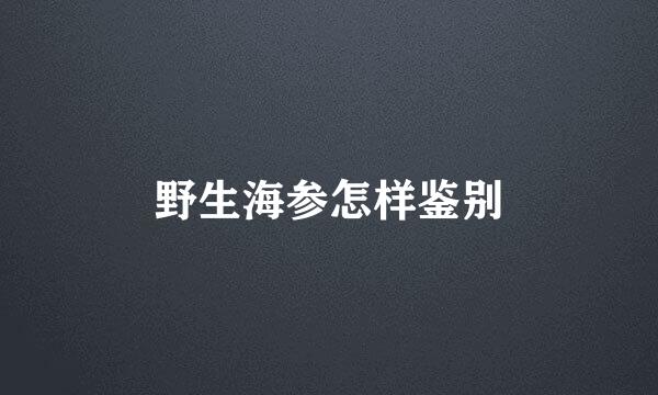 野生海参怎样鉴别
