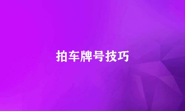 拍车牌号技巧