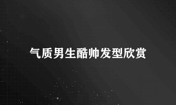 气质男生酷帅发型欣赏