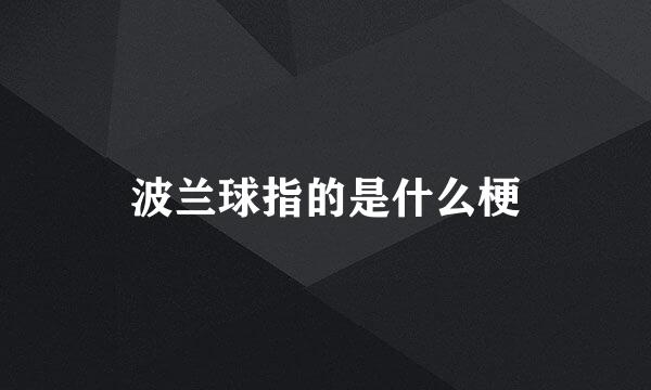 波兰球指的是什么梗