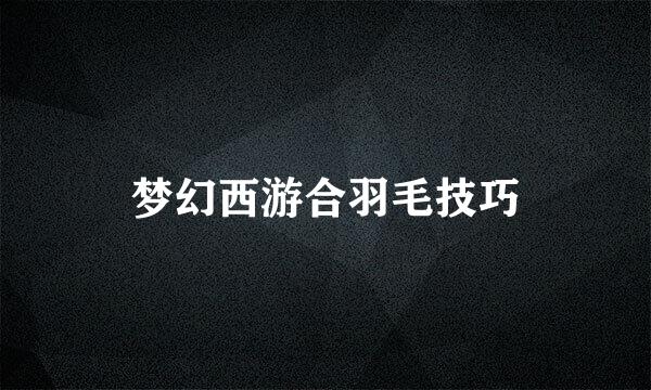 梦幻西游合羽毛技巧