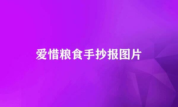 爱惜粮食手抄报图片