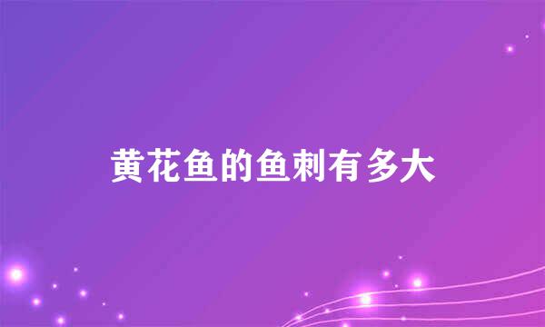 黄花鱼的鱼刺有多大