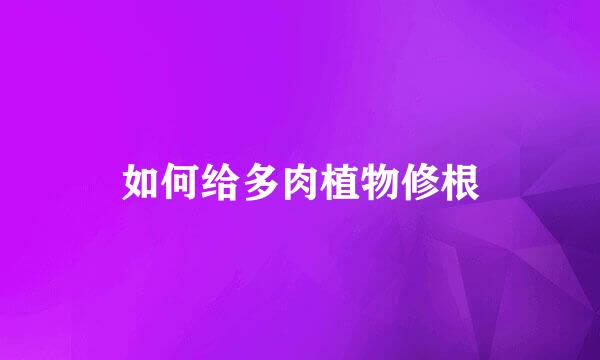 如何给多肉植物修根