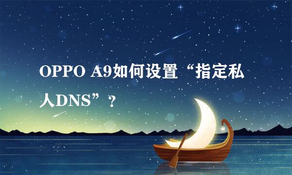OPPO A9如何设置“指定私人DNS”？