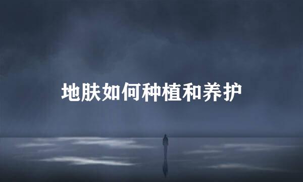 地肤如何种植和养护