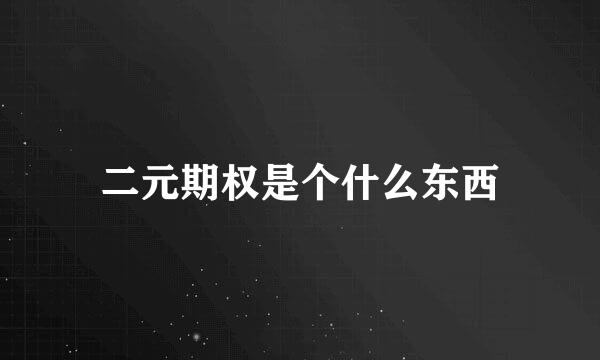 二元期权是个什么东西