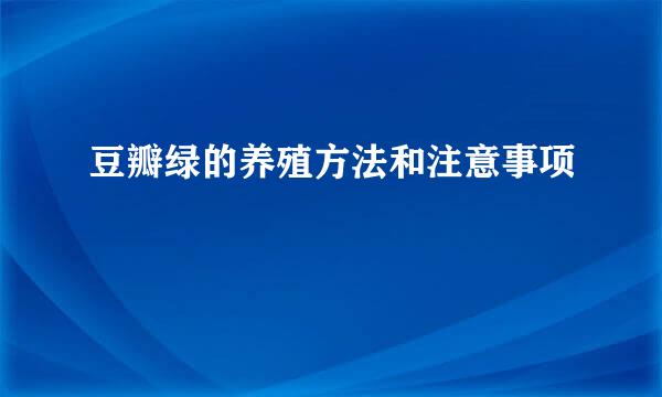 豆瓣绿的养殖方法和注意事项