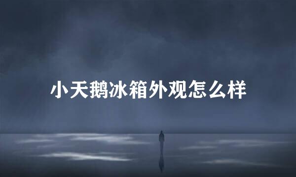 小天鹅冰箱外观怎么样