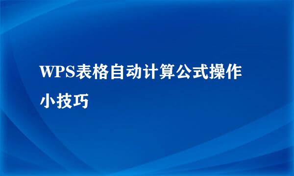 WPS表格自动计算公式操作小技巧
