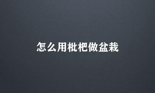 怎么用枇杷做盆栽