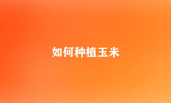 如何种植玉米
