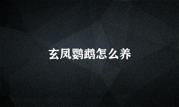 玄凤鹦鹉怎么养