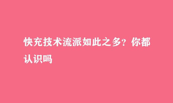 快充技术流派如此之多？你都认识吗