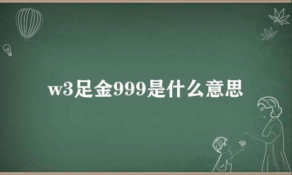 w3足金999是什么意思