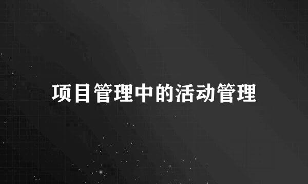 项目管理中的活动管理