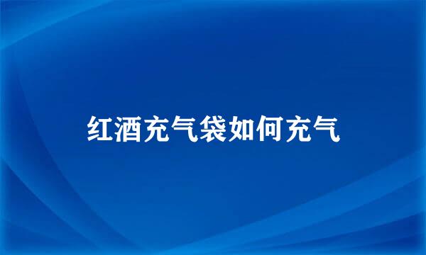 红酒充气袋如何充气