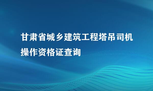 甘肃省城乡建筑工程塔吊司机操作资格证查询