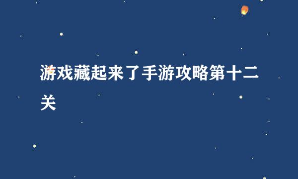 游戏藏起来了手游攻略第十二关