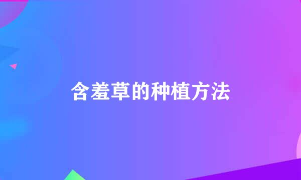 含羞草的种植方法