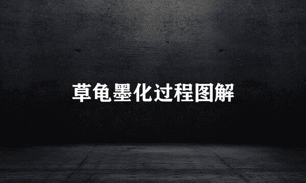 草龟墨化过程图解