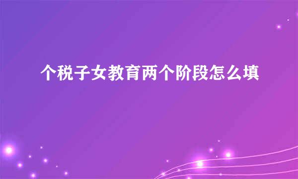 个税子女教育两个阶段怎么填