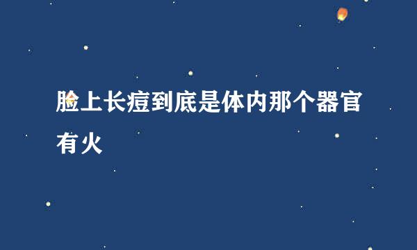 脸上长痘到底是体内那个器官有火