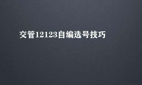 交管12123自编选号技巧