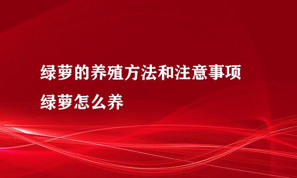 绿萝的养殖方法和注意事项 绿萝怎么养